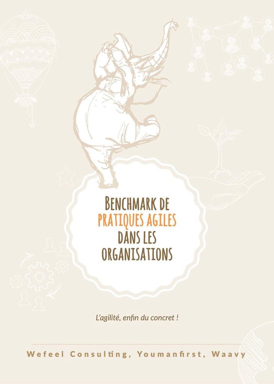 Benchmark de pratiques agiles dans les organisations - cover