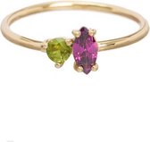Les Soeurs Chloe Vintage Duo Ring Verguld - Maat 56