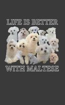 Life Is Better With Maltese