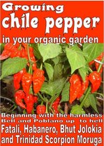 Growing vegetable garden - Growing chile pepper in your organic garden