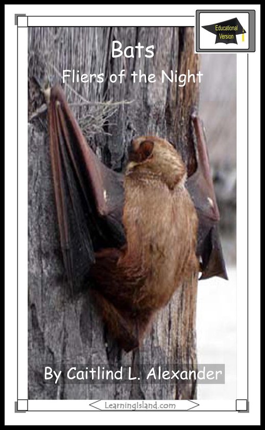 15-Minute Books 322 - Bats: Fliers of the Night: Educational ... - cover