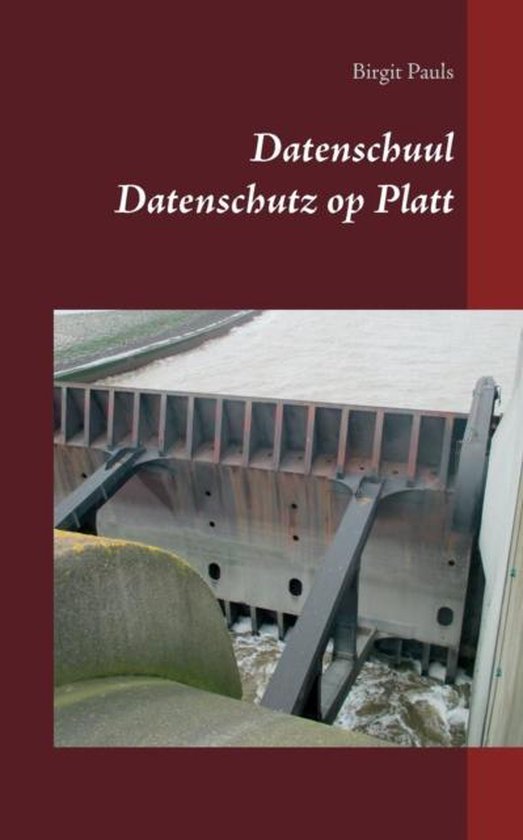 Datenschuul - cover
