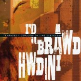 Various Artists - Y Brawd Hwdini (CD)
