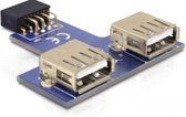 DeLOCK kabeladapters/verloopstukjes 9-pin 2.54 mm/2 x USB 2.0