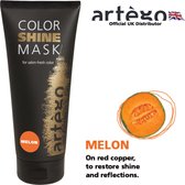 Artego Color Shine Mask Melon Artego 200ml | bol.com