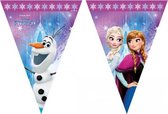 Frozen vlaggenlijn kinderfeestje 2 meter