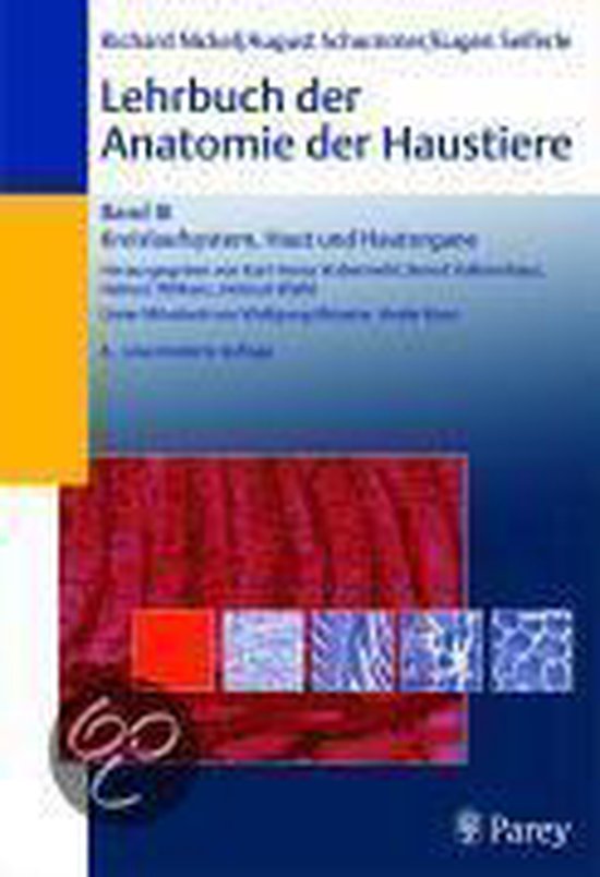 Kreislaufsystem, Haut und Hautorgane - cover