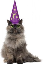 Halloween - Opblaasbare tovenaarshoed voor katten