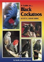 A Guide to Black Cockatoos as Pet & Aviary Birds