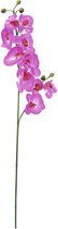 Europalms orchidee kunstplant - kunstbloem - paars - 100cm