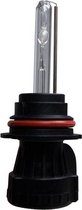 HID-Xenon Lamp HB5 Bi-Xenon (9007) 6000K 1 Stuk