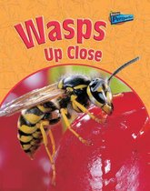 Wasps Up Close