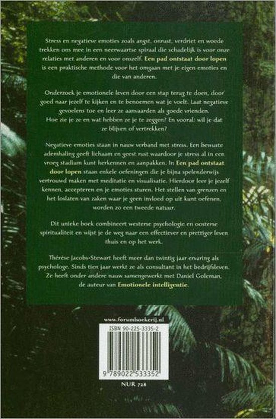 Pad Onstaat Door Lopen