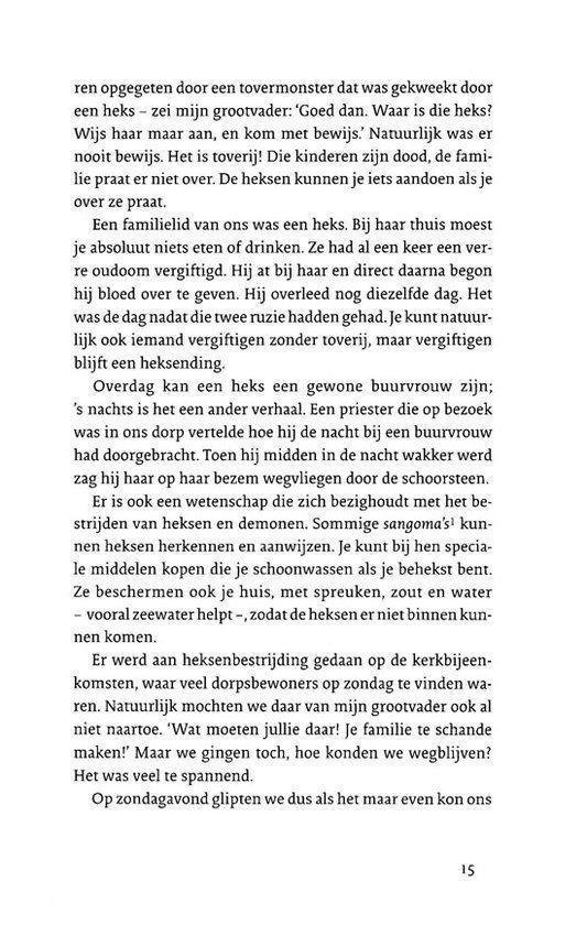 Pagina 15 met tekst over een tovenaar, een heks, en een dorpje.