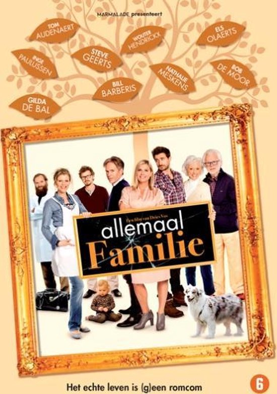 Allemaal Familie (DVD)