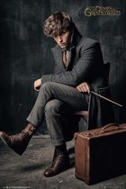 FANTASTIC BEASTS 2 NEWT SCAMANDER