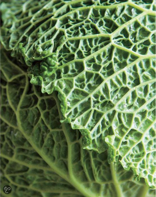 Close-up van een groene savooiekool met opvallende nerven.
