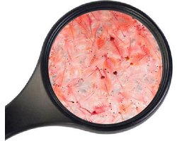 Ruto Artemia levend 150ml voor vissen
