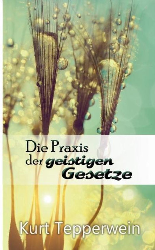 Die Praxis der geistigen Gesetze - cover