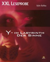 XXL Leseprobe: Y – Im Labyrinth der Sinne