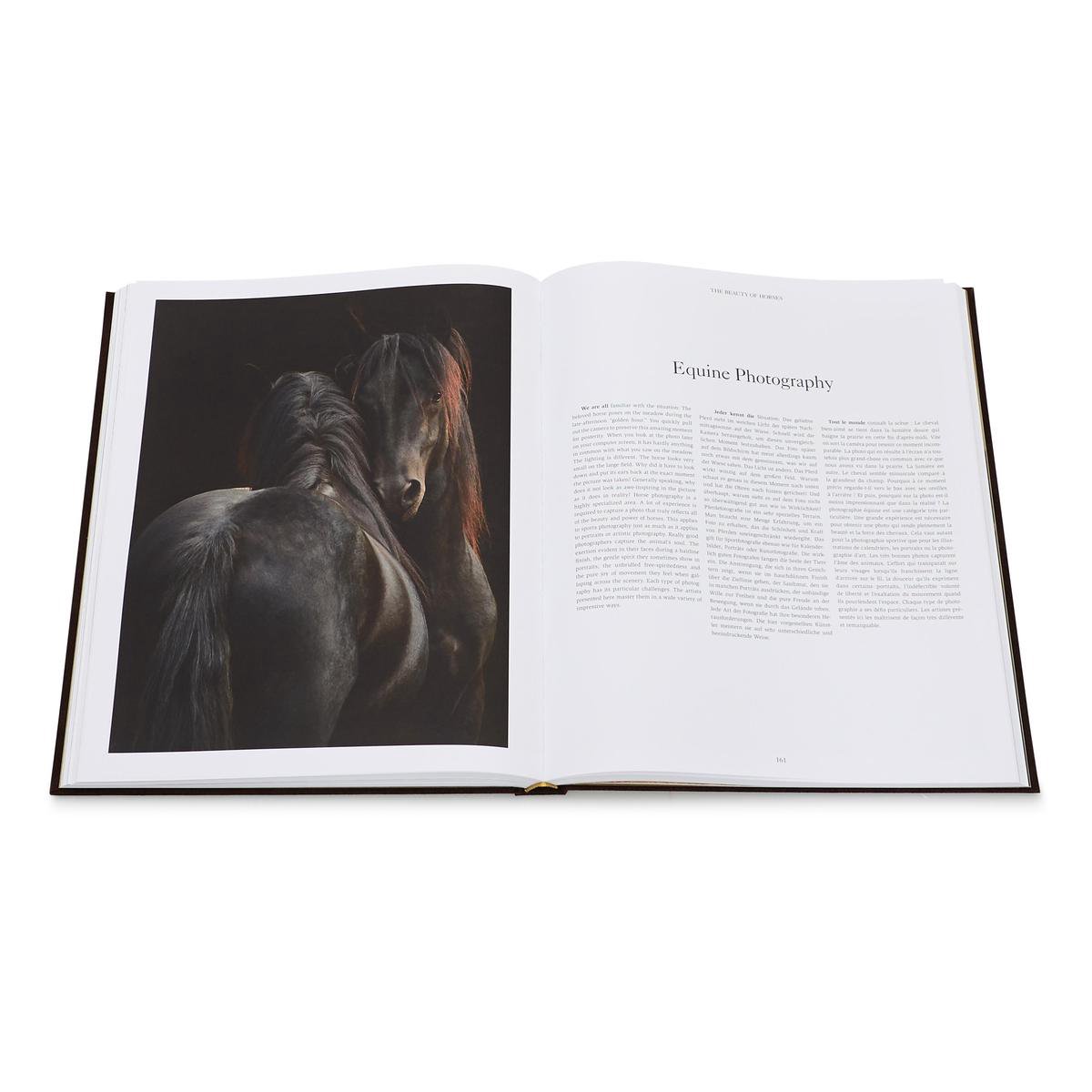【お年玉セール特価】 The Equestrian World, Peter Clotten | 9783961710089 | Boeken 洋書