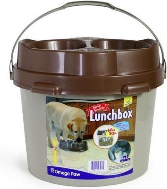 Kerstster giftig voor hond en kat, de symptomen en dit moet je doen