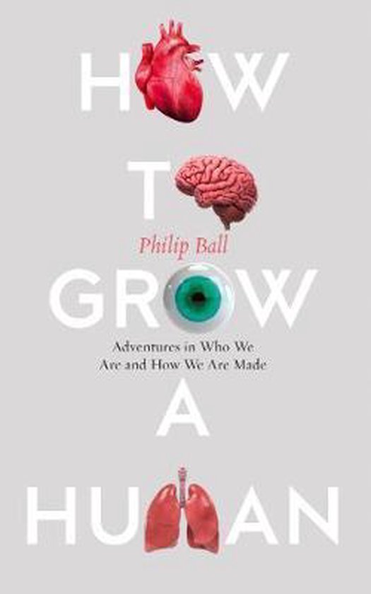 How To Build A Human - cover