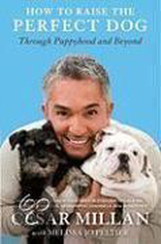 How to Raise the Perfect Dog - cover