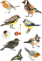 30x Vogel dieren stickers - kinderstickers - stickervellen - knutselspullen