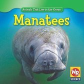 Animals That Live in the Ocean- Manatees