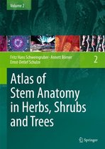 Atlas of Stem Anatomy in Herbs, Shrubs and Trees: Volume 2