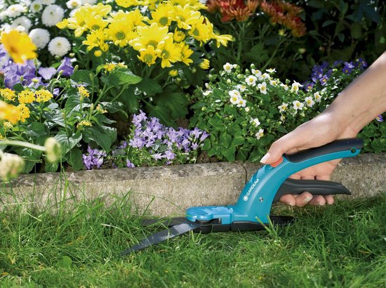 Blauwe Gardena graschaar met oranje knop, gebruikt in gras bij bloembed.