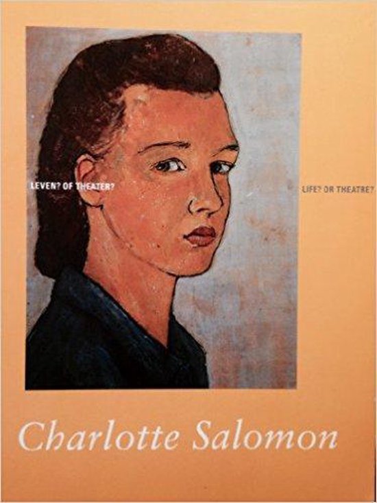 Veilig karton expositie Charlotte Salomon, Judith C.E. Belinfante | 9789066303775 | Boeken | bol.com