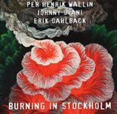 Burning in Stockholm