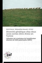 Diversit� G�n�tique Chez Deux Raves Ovines (Ovis Aries) En Tunisie