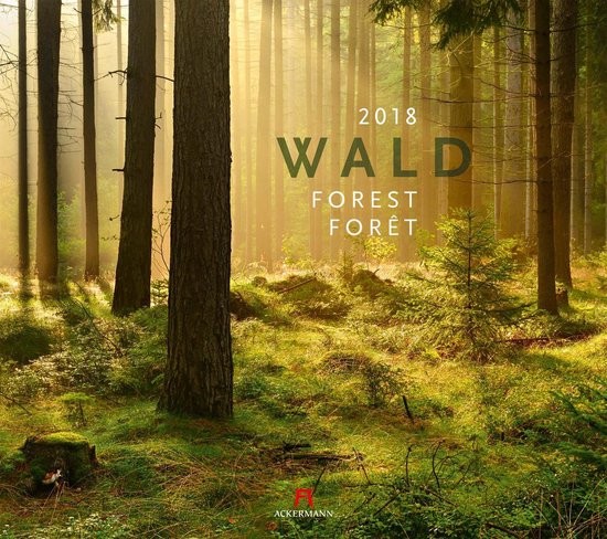 Bos - Forest - Wald Kalender 2018 | bol.com