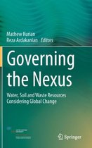 Governing the Nexus