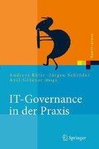 IT Governance in Der Praxis