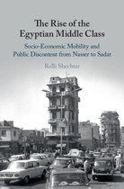 The Rise of the Egyptian Middle Class