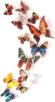 3D vlinders | Mix herfst