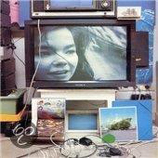 Cover van de film 'Inside Bjork Document'