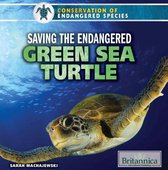 Conservation of Endangered Species - Saving the Endangered Green Sea Turtle