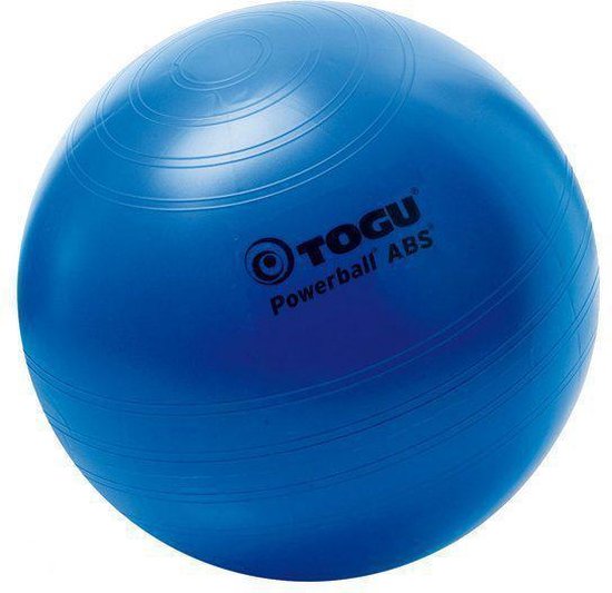 meteoor ingenieur kam Togu Powerbal Fitnessbal - Ø 55 cm - Blauw | bol.com