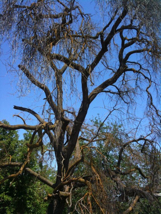 Learn Haitian Creole Today Aprendan el Criollo Haitiano Hoy Día