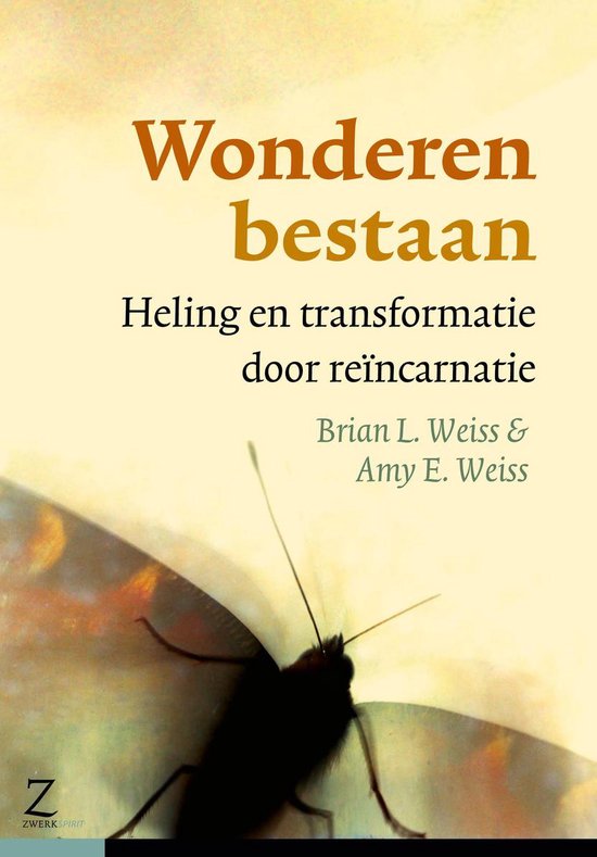 Wonderen bestaan heling en transformatie door reïncarnatie
