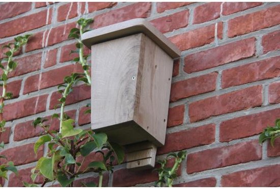 Wildlife World Vleermuiskast