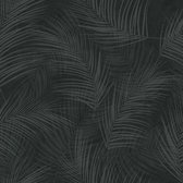Palma palm zwart natuur (vliesbehang, zwart)