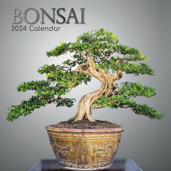 Bonsai Kalender 2024 bol