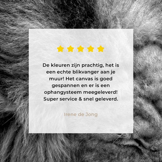 Toile de lion endormie 2cm 90x90 cm - Tirage photo sur toile (Décoration murale salon / chambre) / Peintures sur toile animaux sauvages