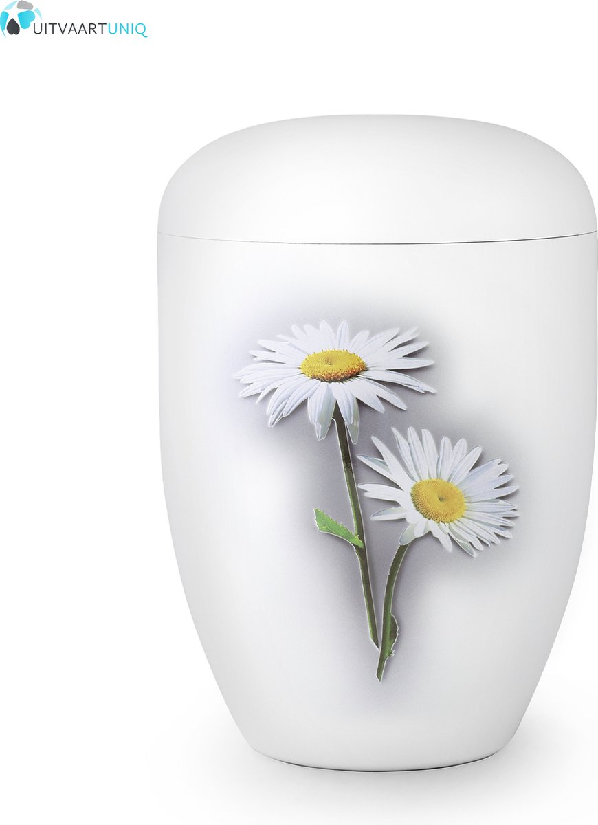 Eco urn wit madelief - bio (biologisch afbreekbaar)